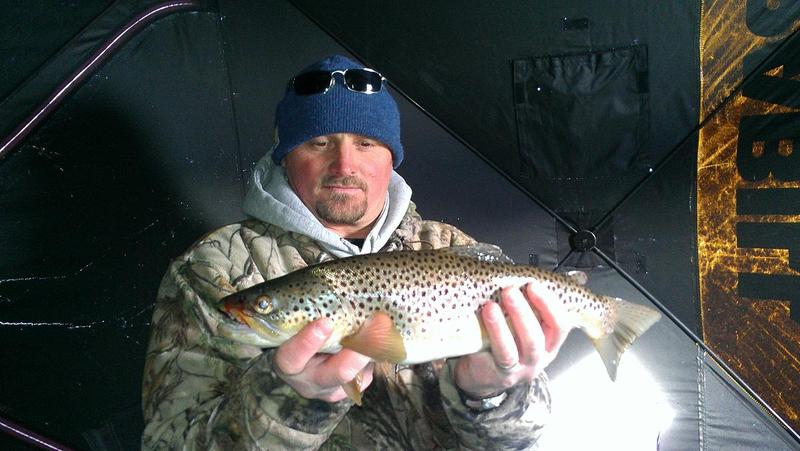 Brown Trout from Blue Mesa Ice Fishing 2013!