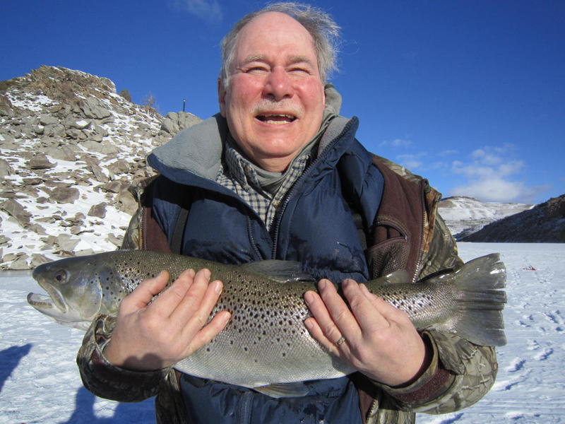 Huge Brown trout from Blue Mesa through the ice!