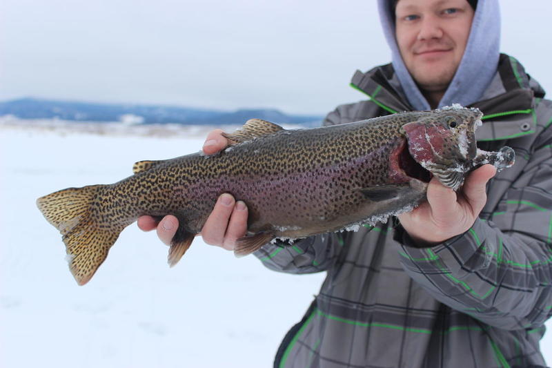 11 mile cutbow ice fishing 2015